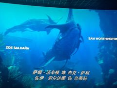 -星河寰宇IMAX影城(星河WORLD·COCO Park店)