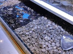 -聚盛源蒸汽海鲜火锅烤肉自助(巨川金海岸购物广场店)