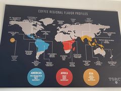-Torch Coffee 炬点咖啡