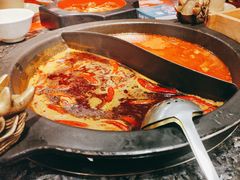 -蜀大侠火锅(森兰花园城店)