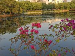 -深圳龙潭公园