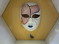 -上海昆虫博物馆