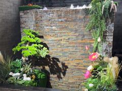 -阿西娅食府(中关村店)