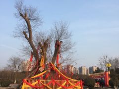 -西安汉城湖景区