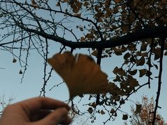 -汉景帝阳陵博物院