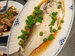 鸡汁青花椒大白鱼-小厨娘金榜题名(夫子庙秦淮河店)