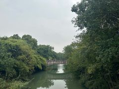 -西溪国家湿地公园