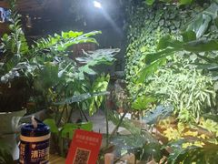 -森味薪火烧•烧鸟居酒屋•日本料理(望京店)