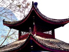 -长寿村