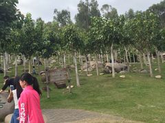 -三亚南山文化旅游区