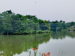-海珠湖公园