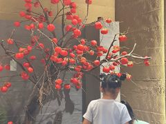 -阿露佳·舌尖上的安吉菜