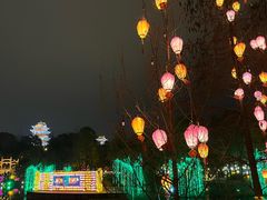 -枫香湖儿童公园