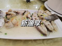 -新渔享海鲜餐厅(广海渔人码头店)