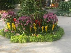 -北京植物园-展览温室