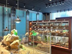 -帕帕拉兹宠物(亚洲旗舰店)