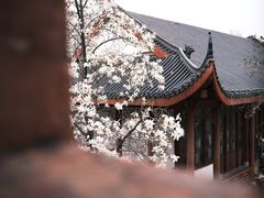 -堤角公园