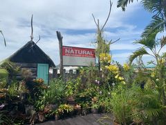 -自然餐厅(Phuket)