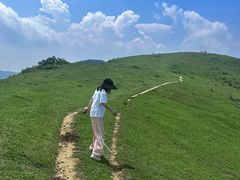 -大姆山草场