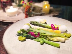 春季山菜-地球美食剧场