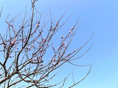-嘉北郊野公园
