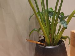 -悦雅居·老广州老味道(长湖店)