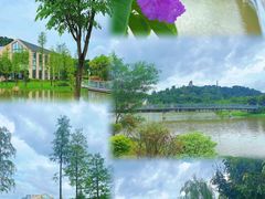 -东莞植物园