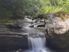 -鹿院坪生态旅游景区