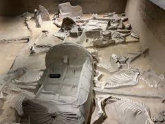 -洛阳周王城天子驾六博物馆