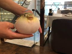 -肆月河豚·新淮扬(金融街店)