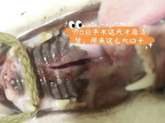 -守诺宠物医院·眼科· 特色牙科·异宠专科(虹口店)