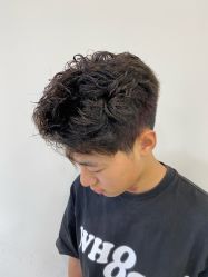 -蚂蚁造型沙龙