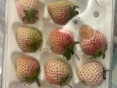 -尚田草莓姑娘白草莓采摘基地