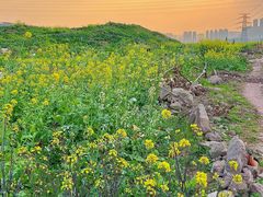 -西南政法大学(渝北校区)