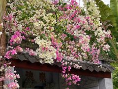 -深圳国际园林花卉博览园