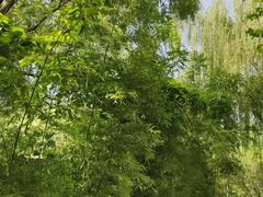 -回龙观体育文化公园