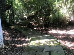 -广州市石门国家森林公园