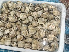 -和源祥·日照菜扛把子(万平口一店)