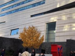 -旧金山现代艺术博物馆