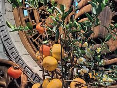 -凤凰山斑鱼馆(恭城店)