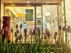 -猫的天空之城概念书店(大学路店)