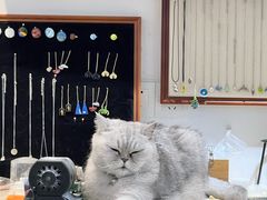 -Oasis绿洲银饰珍珠手作diy(壹方城店)