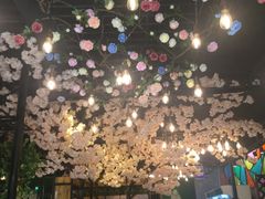 -甲大帅·甲鱼·椰子鸡主题餐厅(唐家店)