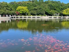 -大连植物园