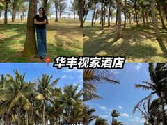 -津可佳·和树银海杂粮