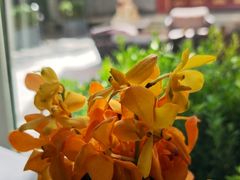 -止观小馆·辽河口渔家菜(王府井店)