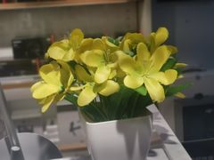 -星光摄影器材城