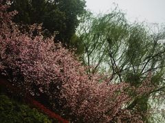 -苏州太湖国家湿地公园