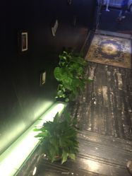-木北造型