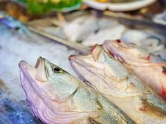 -开海·红岛海鲜虾水饺(石老人店)